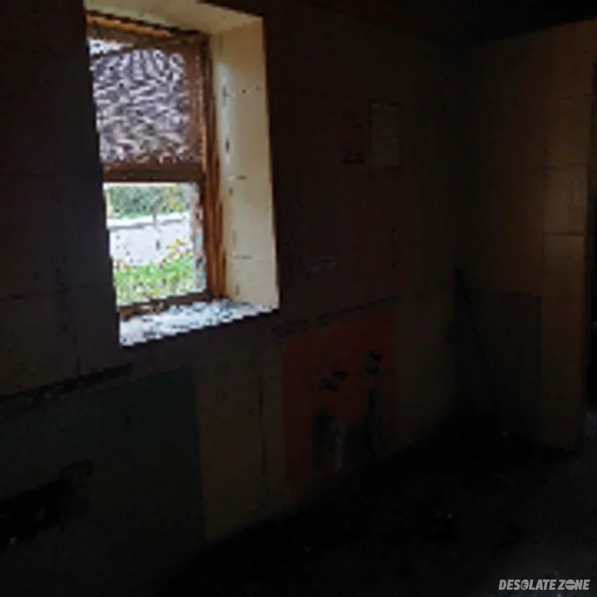 Restauracja smrek - zdjęcie 1/4