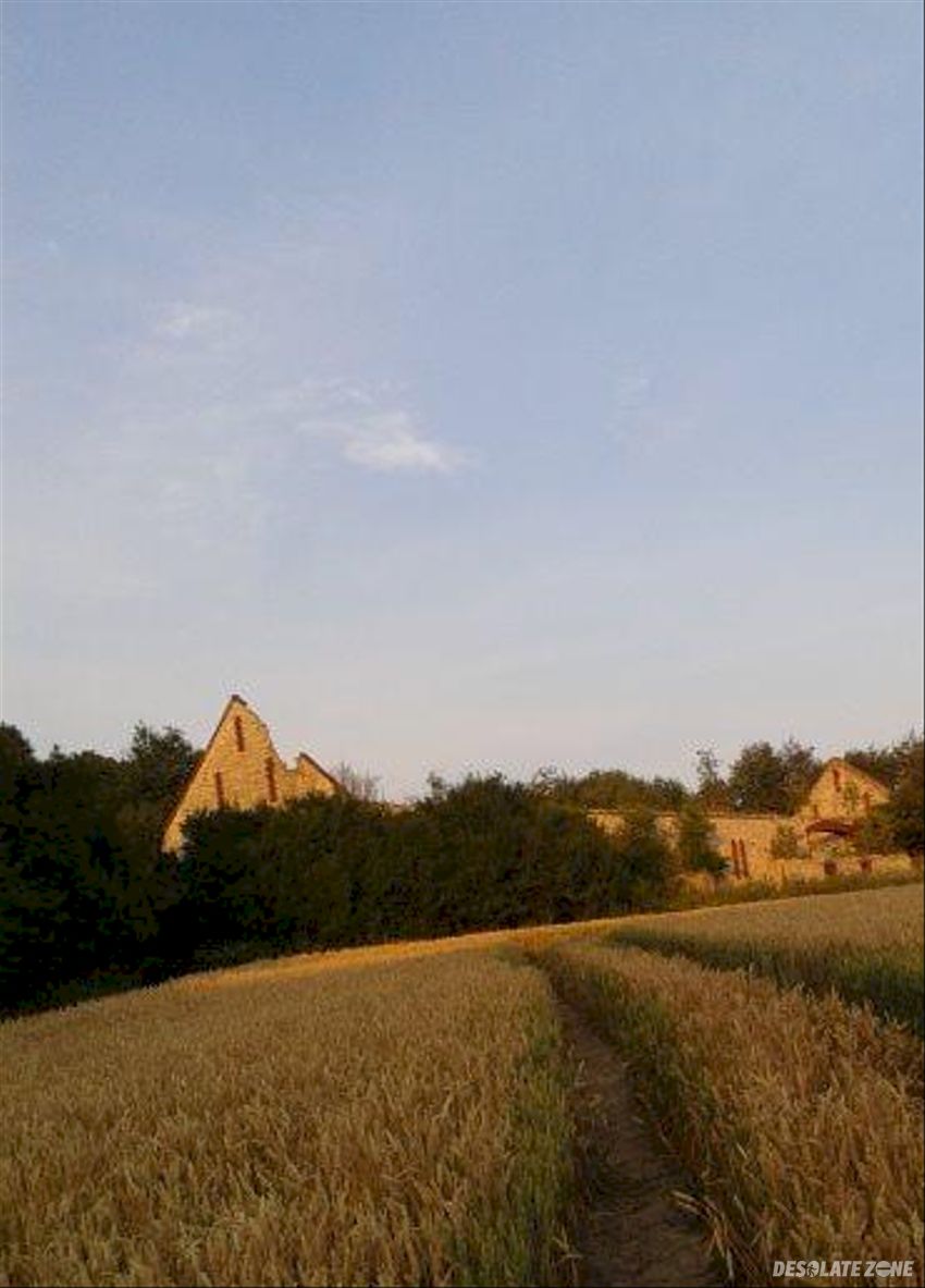 Ruiny folwarku waldhoff, Żyrowa