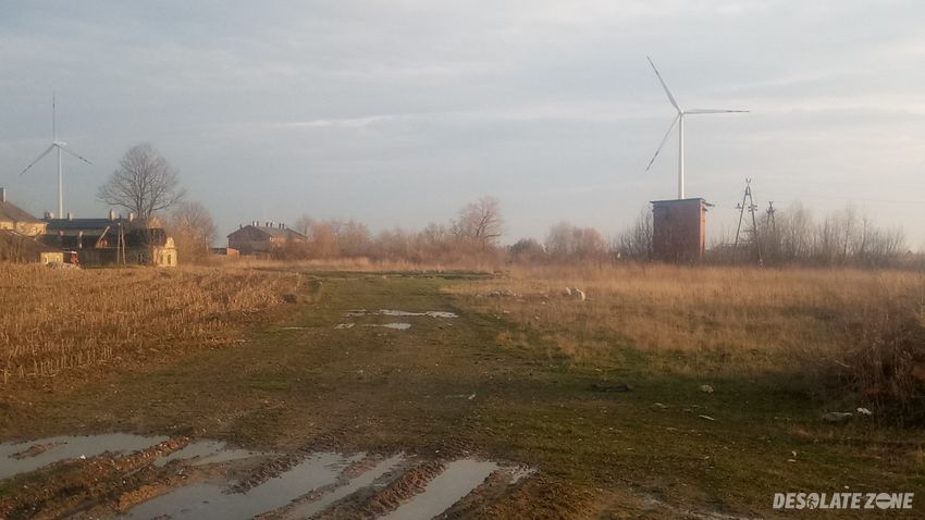 Cegielnia kaszewy, kaszewy