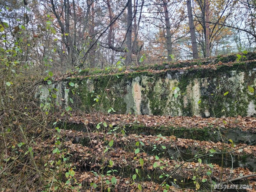 Fort v i i cybulice, cybulice