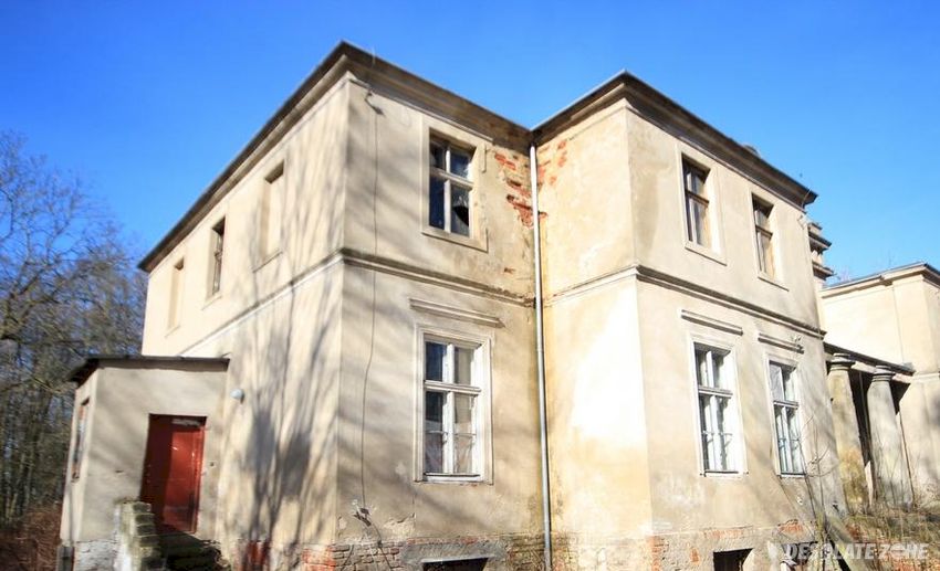 Pałac nieżychowskich, Żelice