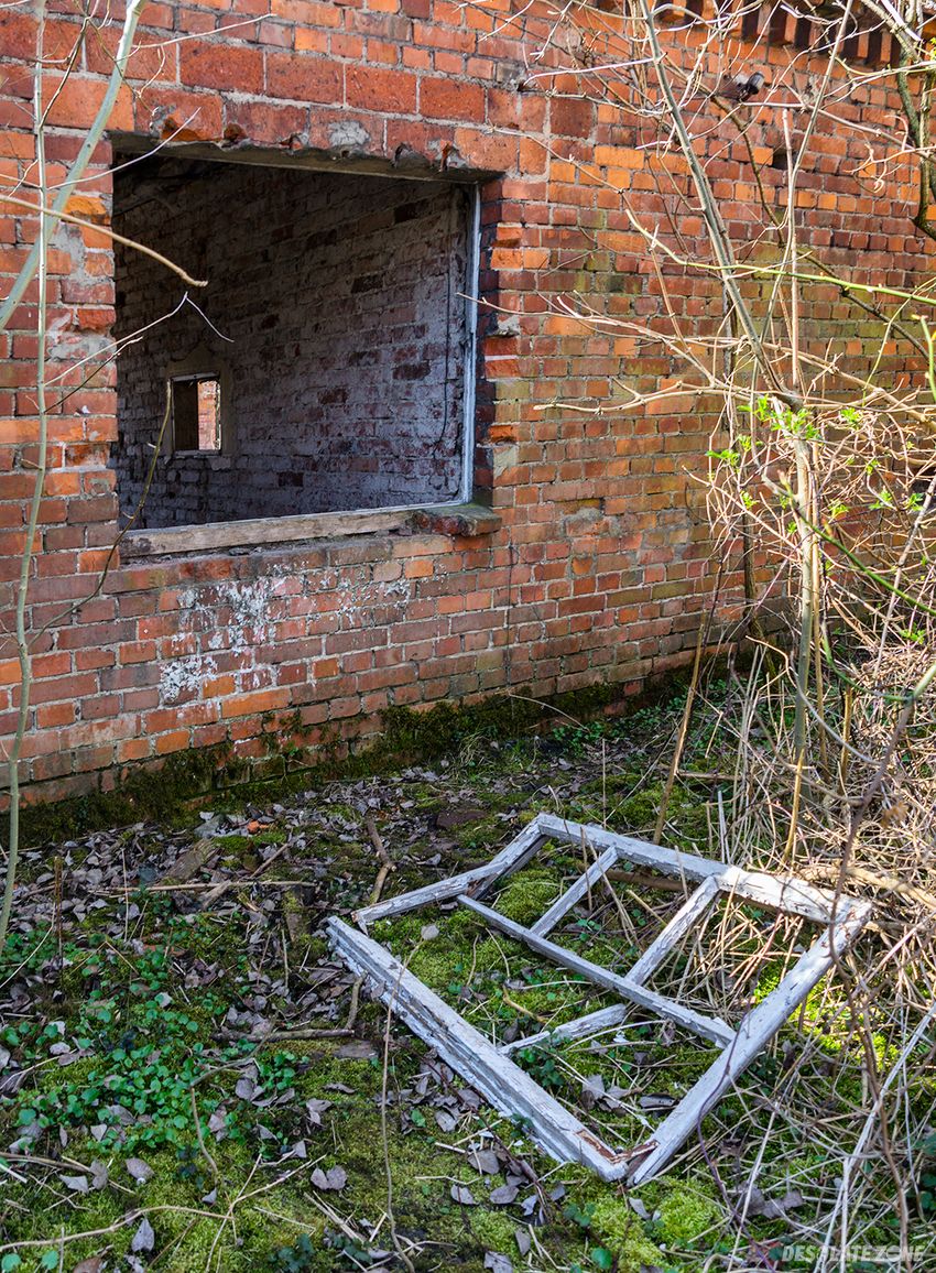 Stara cegielnia , kwileń