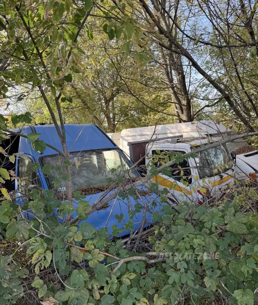 Opuszczone auta - zdjęcie 1/5