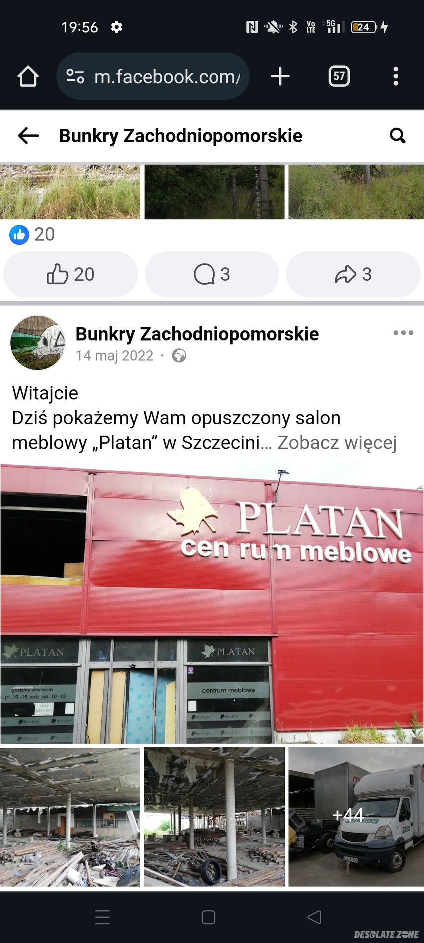 Opuszczony platan.