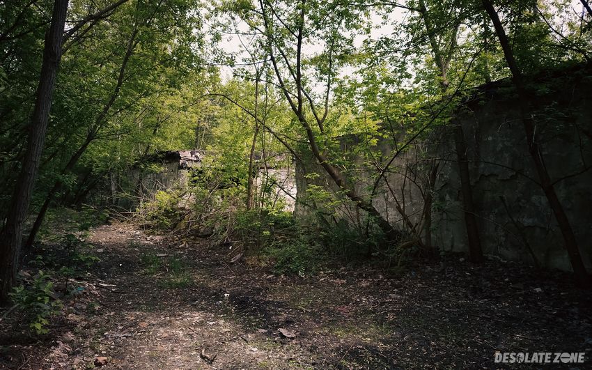 Opuszczona pieczarkarnia - mysłowice