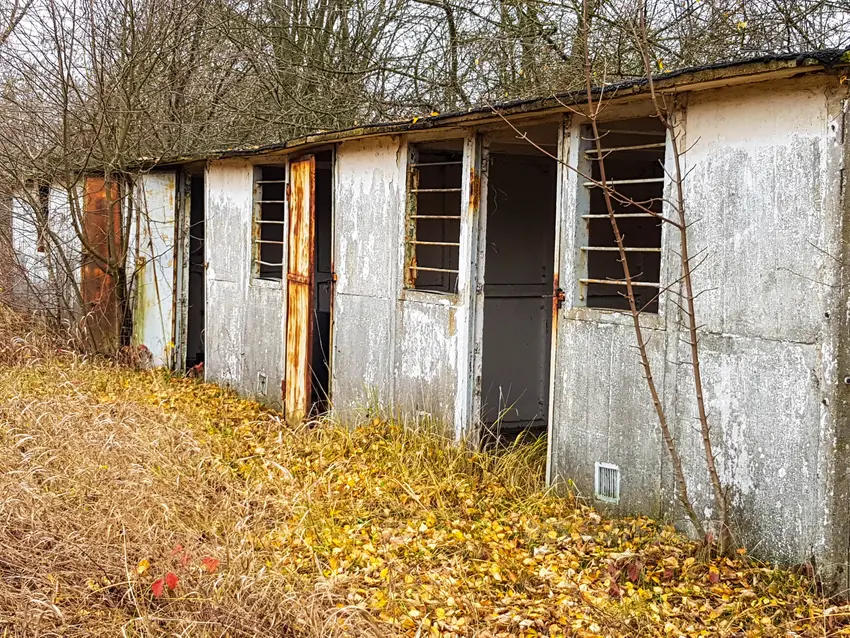 Magzayn wojskowy i poznań - zdjęcie 1/4