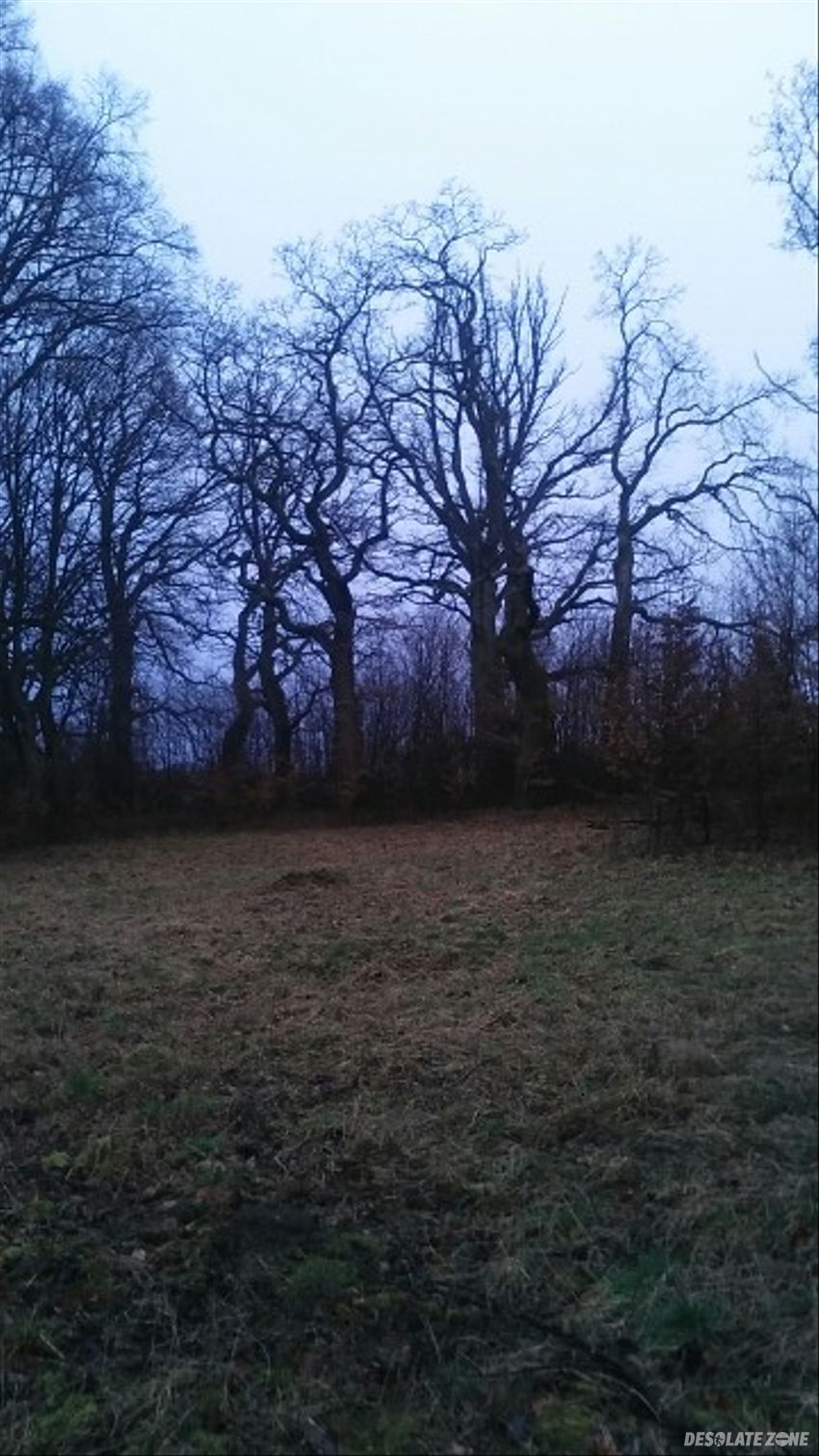 Pałac w krzywaniu, krzywań