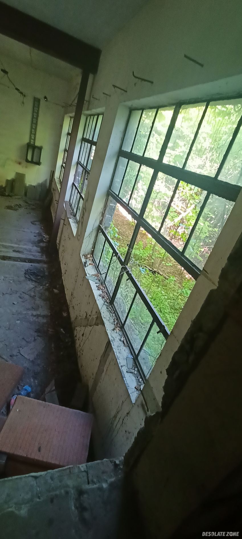 Opuszczony budynek na ul. modrzewiowej, stalowa wola