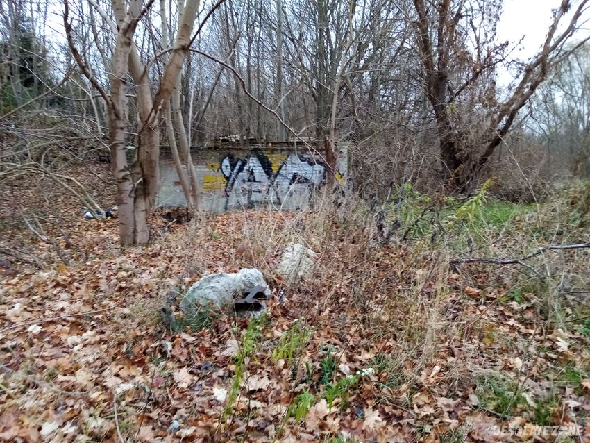 Opuszczone ruiny domu i stodoła.