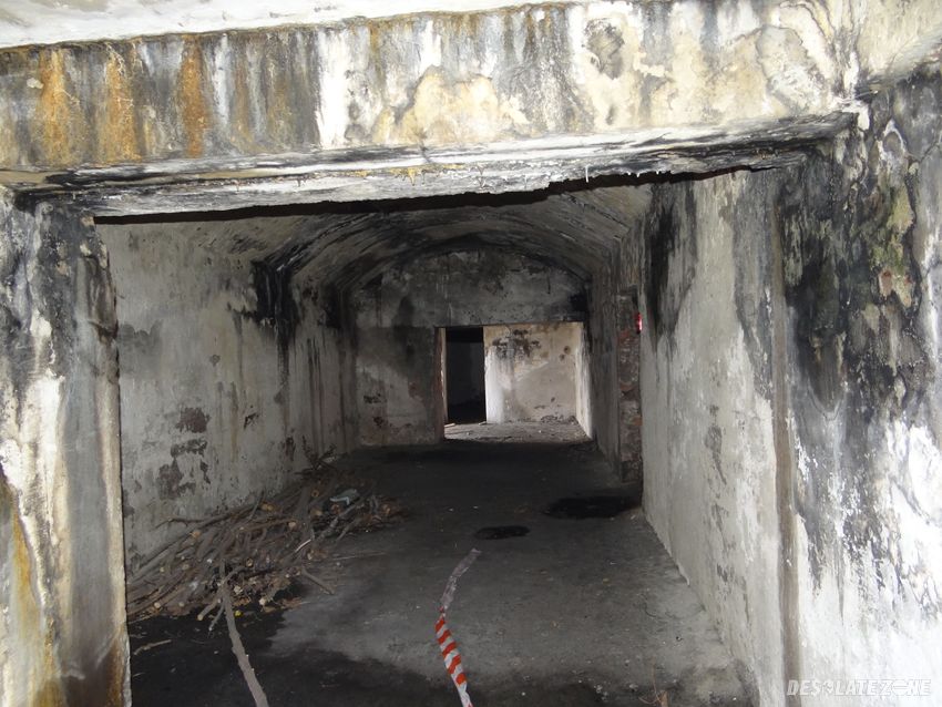 Fort x i i janowo, janowo