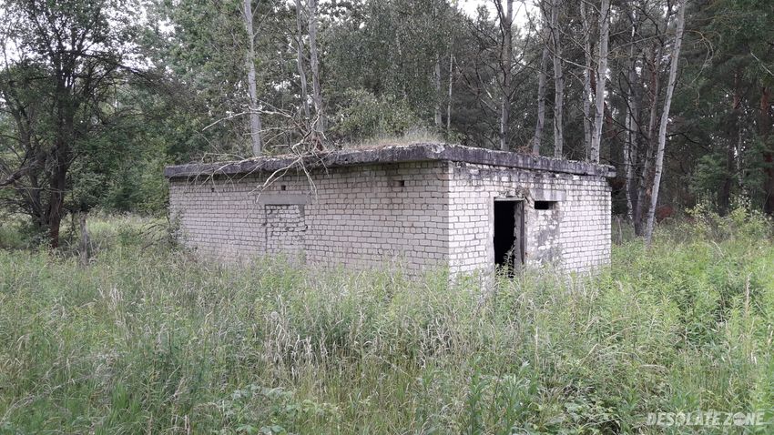 Lotnisko poradzieckie, chojna