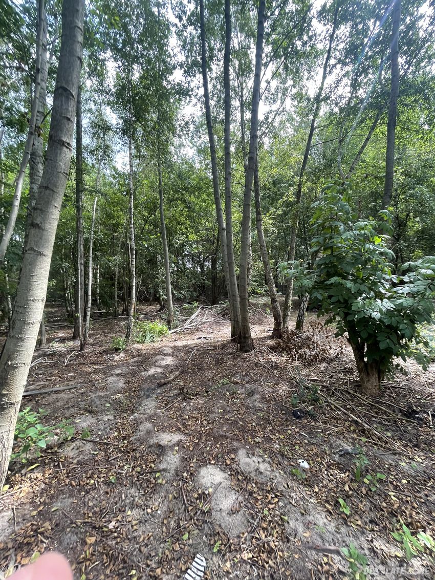 Cmentarzysko samochodów