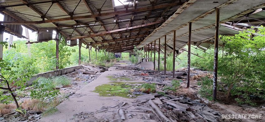 P i e k o s z o w s k i p g r