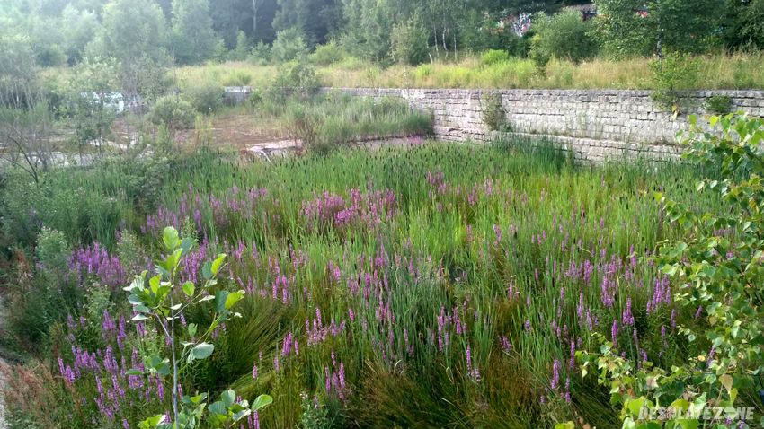 Ośrodek wypoczynku Świątecznego " rakownica"