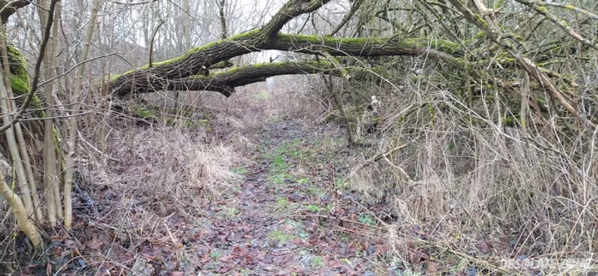 Opuszczone gospodarstwo. radojewo, radojewo