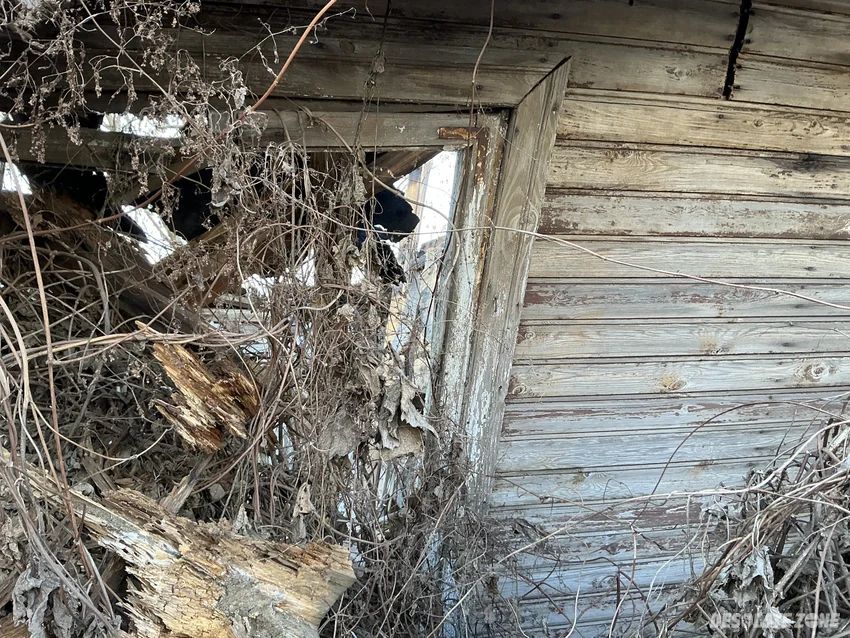 Opuszczony drewniany dom