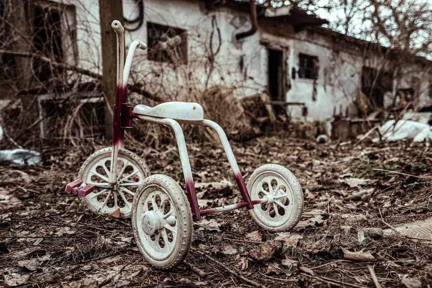 Opuszczony pałac w Świniarach, Świniary - zdjęcie 1/4