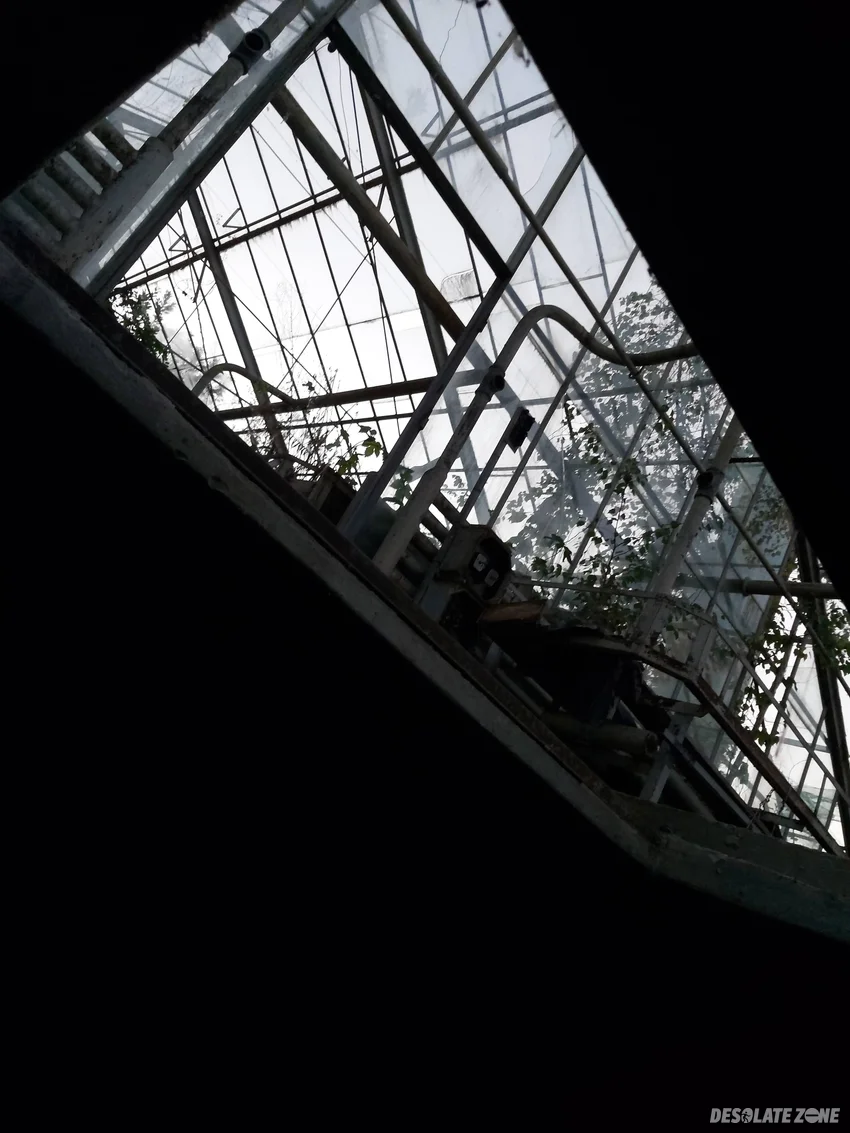 Szklarnia - zdjęcie 1/4