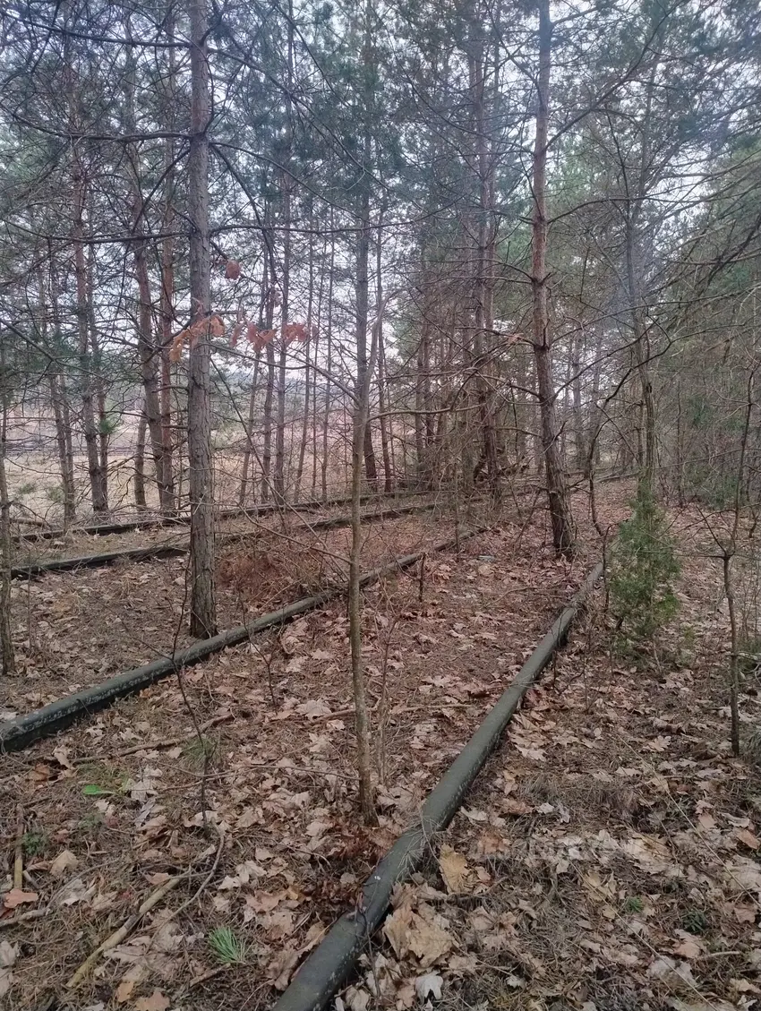 Bocznica kolejowa do dawnej bazy CPN - photo 1/5