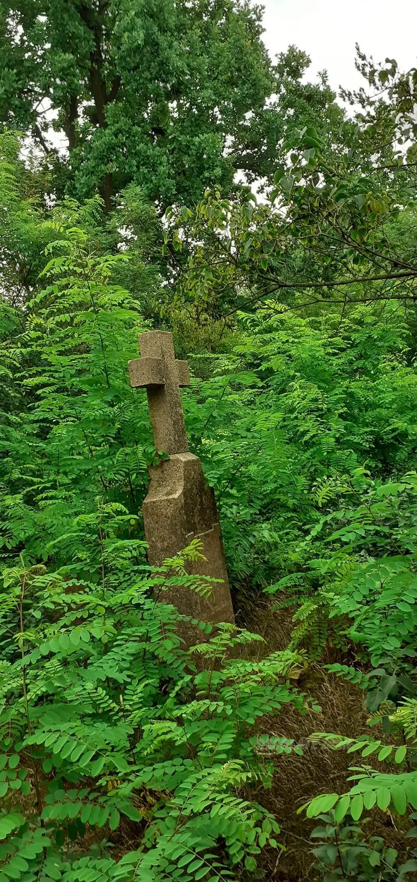 Cmentarz ewangelicko-augsburski w górze kalwarii - photo 1/3