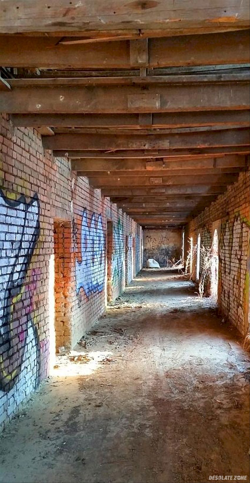 Cegielnia w i d o m i a, lipnica wielka