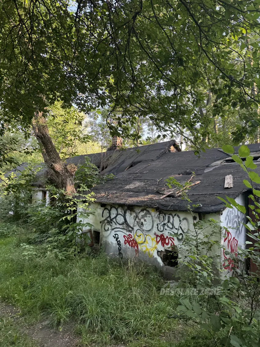 Opuszczone gospodarstwo - photo 1/22