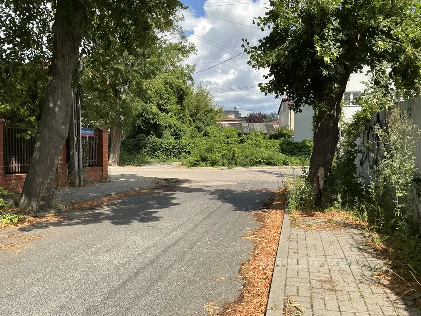 Zarośnięty dom - zdjęcie 1/1