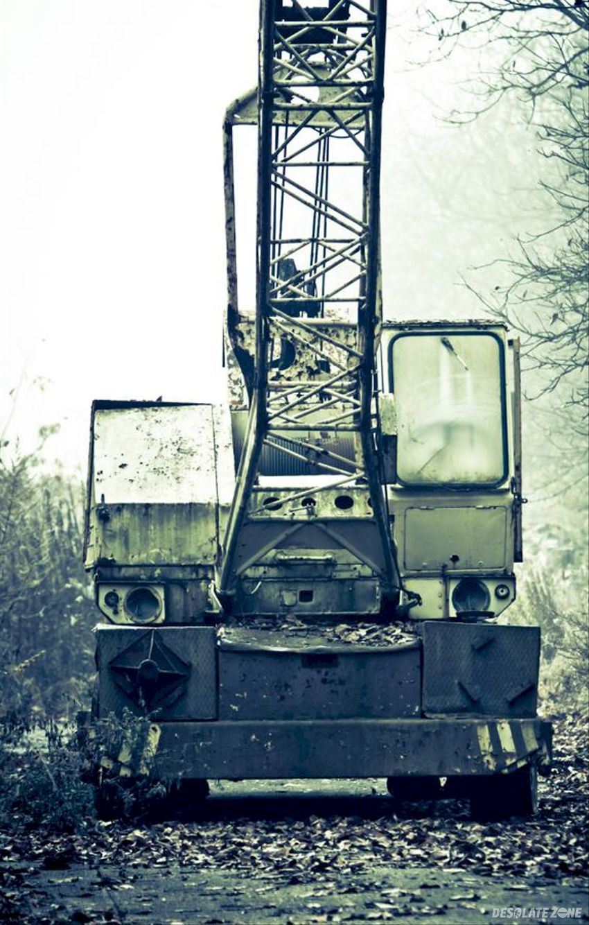 Zakład olejarski w sieniawie, sieniawa