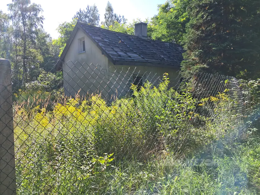 Opuszczona działka - zdjęcie 1/2