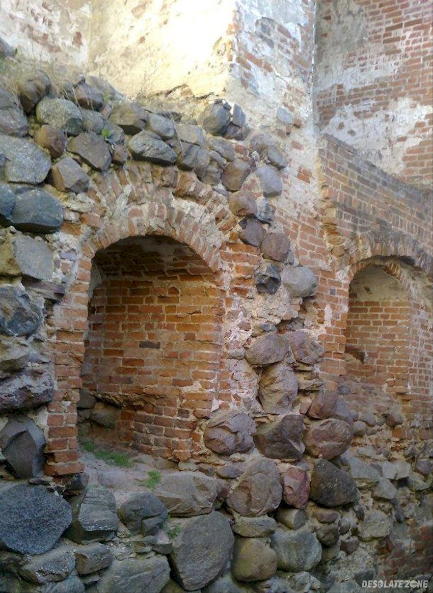 Ruiny zamku, nowy jasiniec