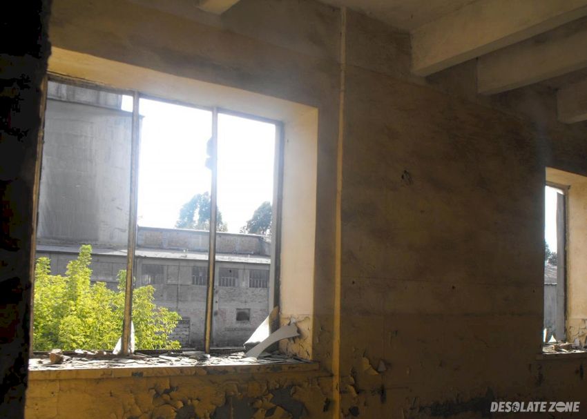 Cementownia rejowiec, rejowiec fabryczny