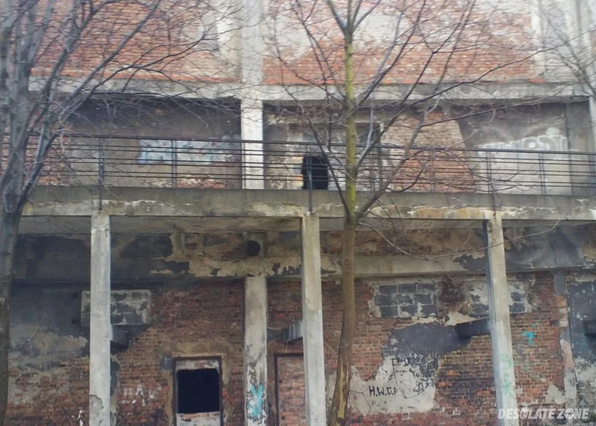 Kino piast, mysłowice