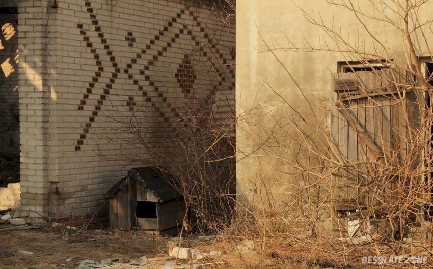 Opuszczone gospodarstwo, kępa okrzewska