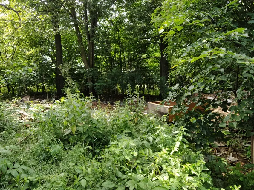 Opuszczony dom - wola marcinkowska - zdjęcie 1/4