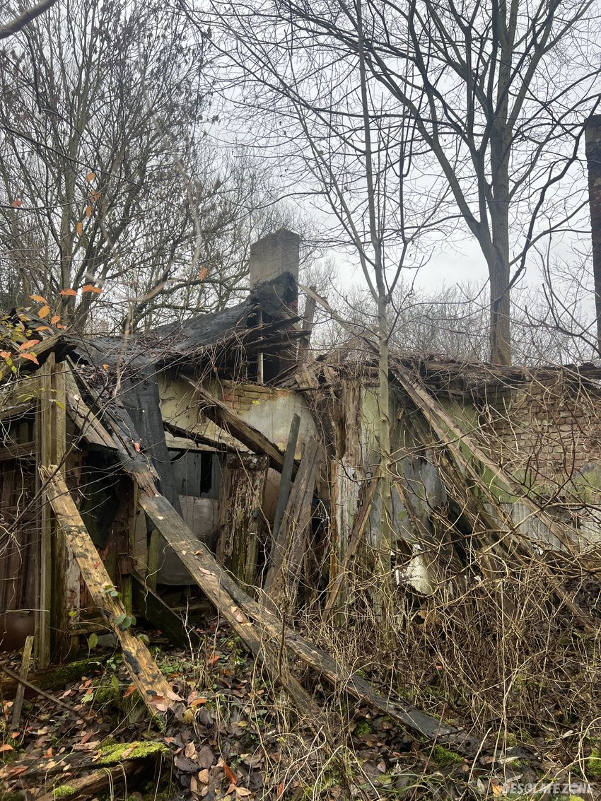 Ruiny domu i gospodarstwa