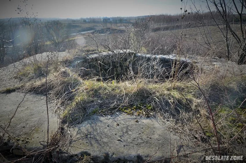 Wapiennik, strzyżowice - zdjęcie 1/3