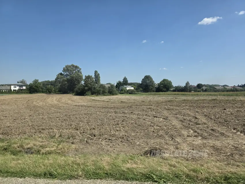 Gospodarstwo - photo 1/1