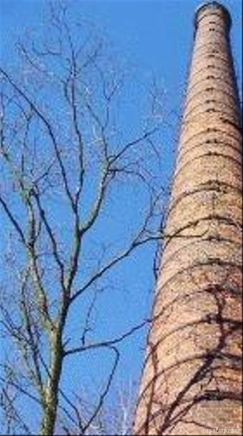 Cegielnia w aniołowie, zgierz