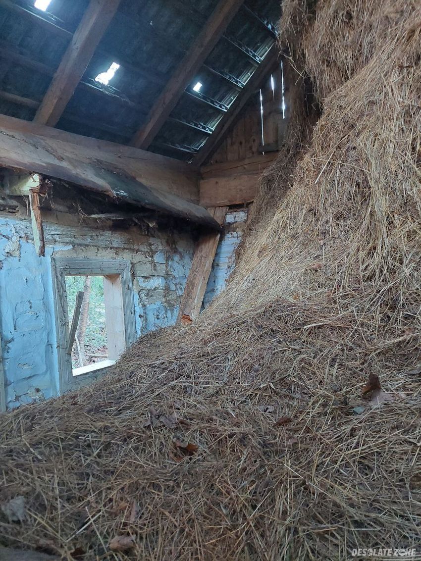 Opuszczony dom w środku lasu