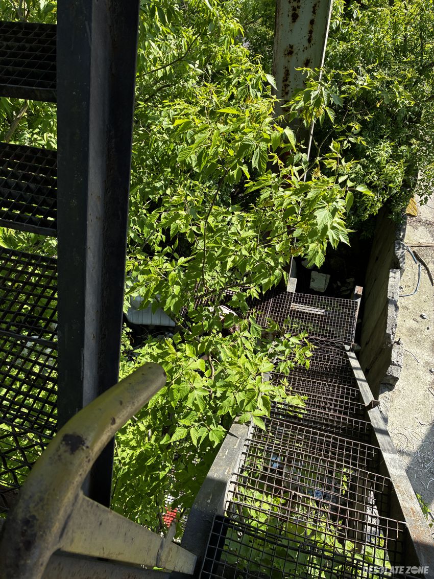 Pozostałości fabryki domów stare Świdry