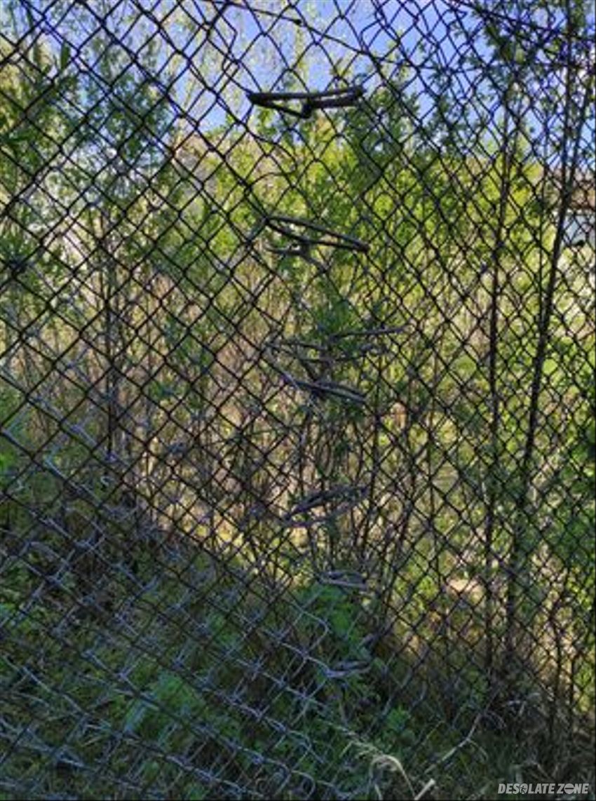 Opuszczone gospodarstwo badawcze, puczniew