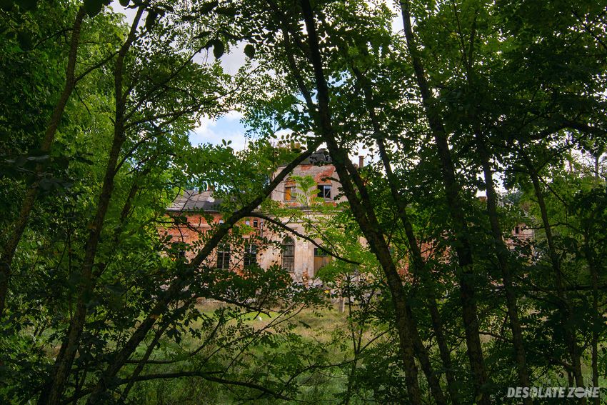 X v i i pałac w wełnie , wełna