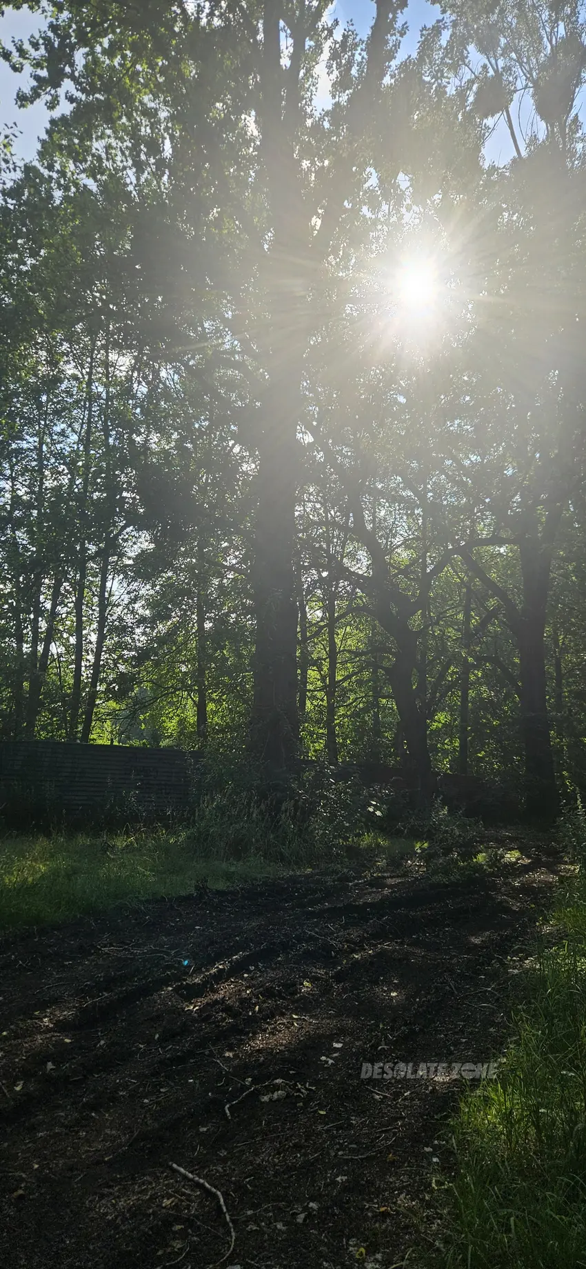 Niedokończony aquapark - zabrze - photo 1/16