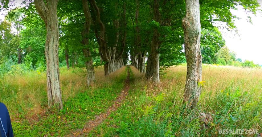 Pałac von osten w wicimicach