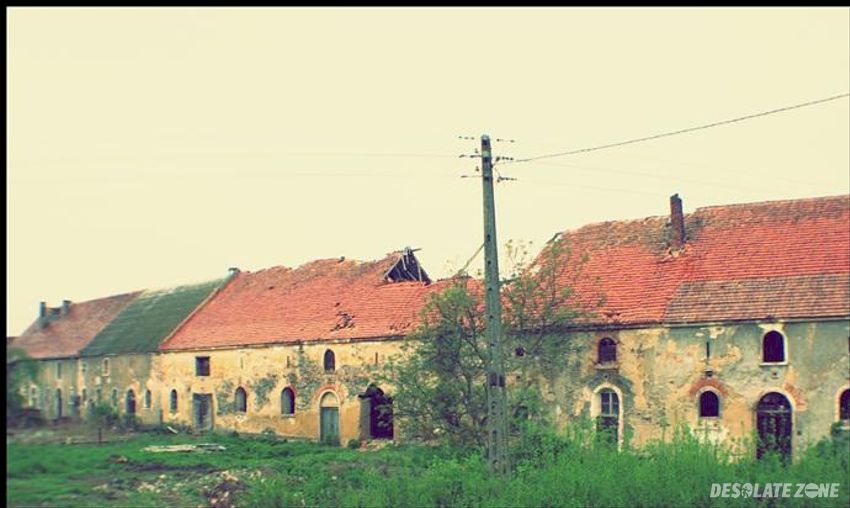 Ruiny klasztoru cystersów, winnica