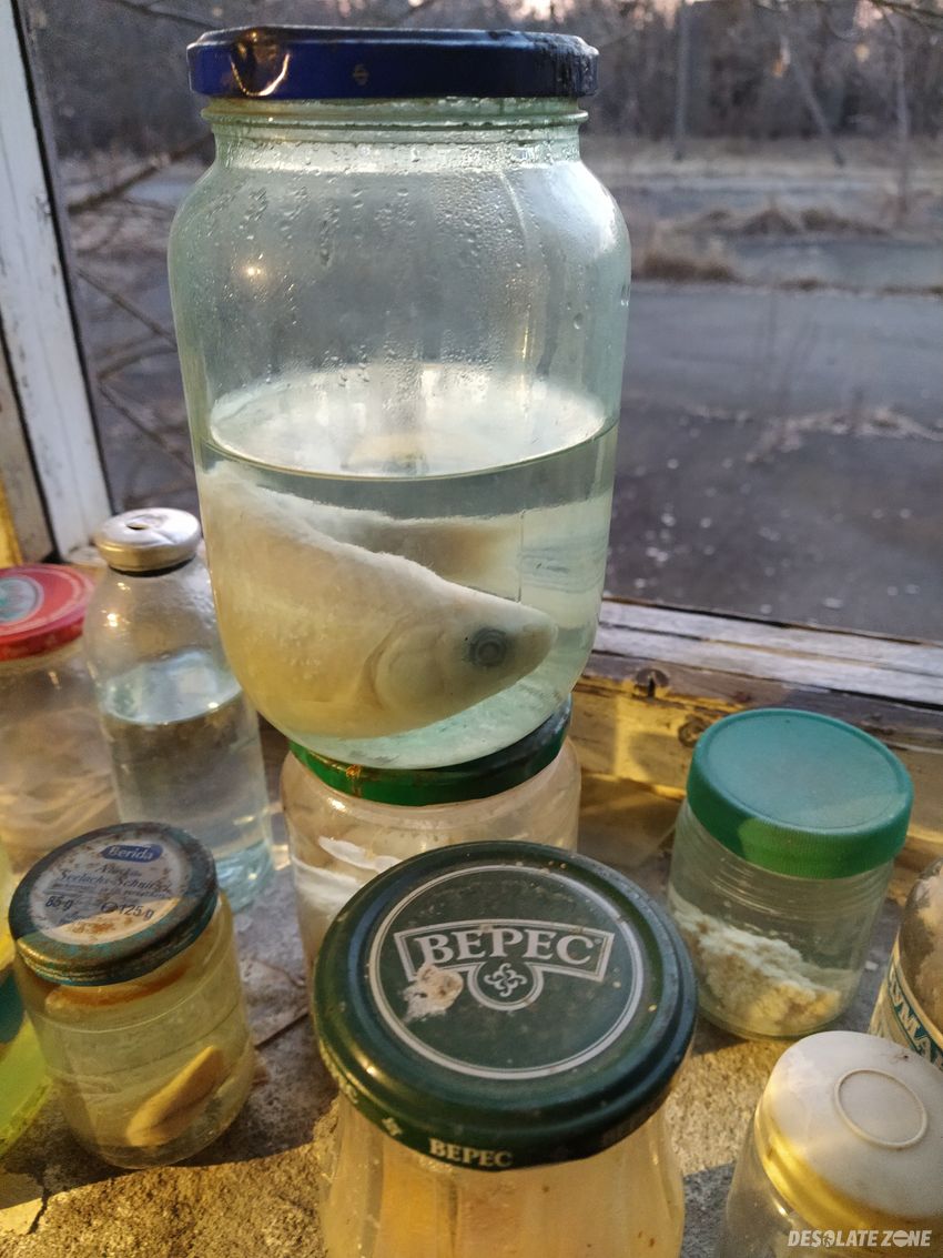 Eksperymentalna ferma ryb i norek