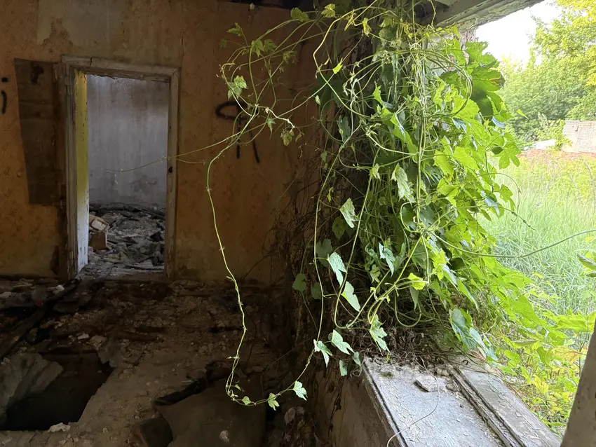 Opuszczone budynki - photo 1/4