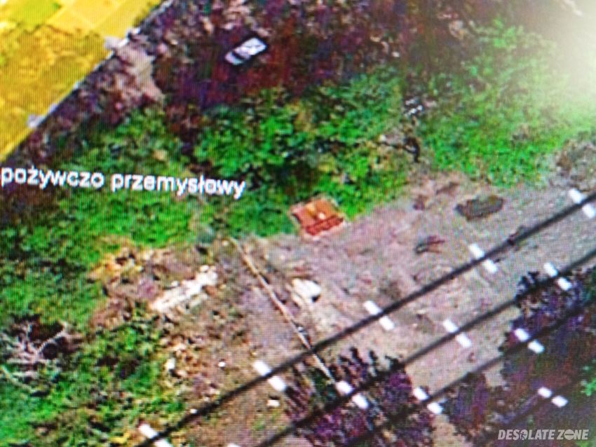 Wieża z której widać cały pszów