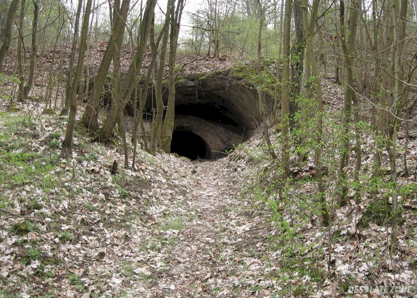 Fort czarnów, czarnów