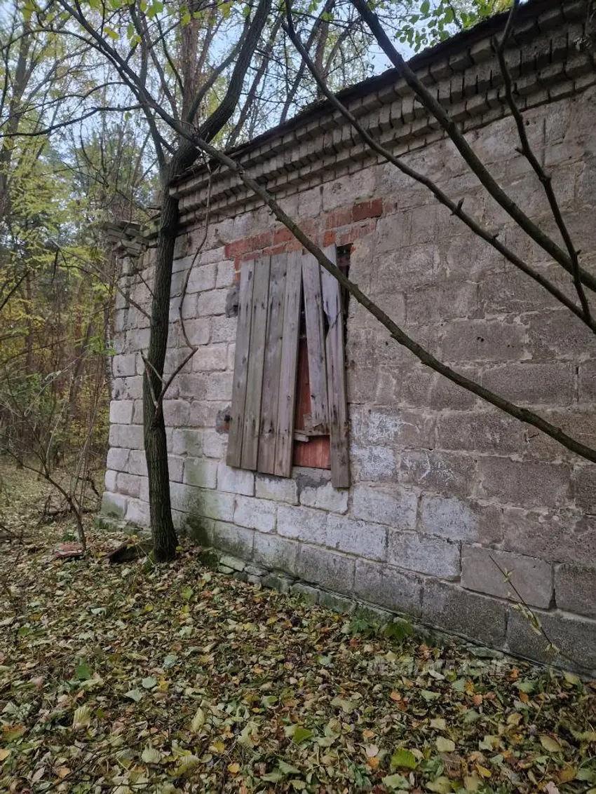 Stary dom w środku lasu - zdjęcie 1/13